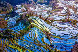 Laohuzui Rice Terraces 